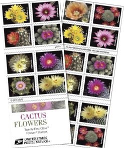 Cactus Flowers USPS First-Class Mail Forever Postage Stamps 100pcs/Pack (20PCS/Booklet)