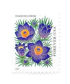 2022 US Mountain Flora First-Class Postage USPS Forever Stamps 100pcs/Pack (20PCS/Booklet)