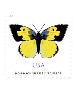 2019 US California Dogface First-Class Postage USPS Forever Stamps 100pcs/Pack (20PCS/Booklet)